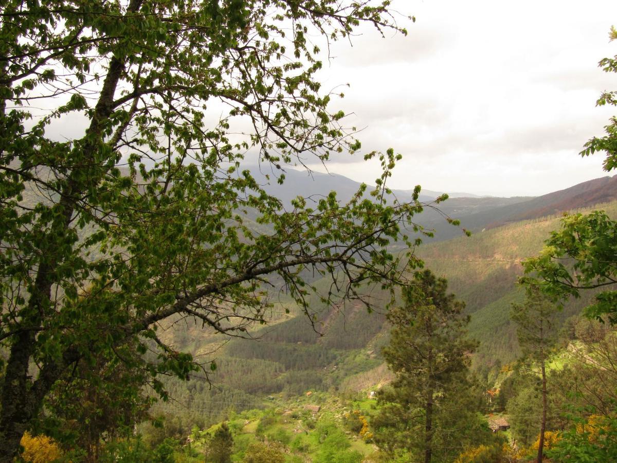 Casa Encantada - Alvoco Da Serra Villa Buitenkant foto